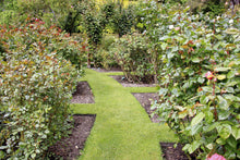 Load image into Gallery viewer, Rite-Edge Garden Edging - 2.4m lengths  (minimum order of 4 lengths)
